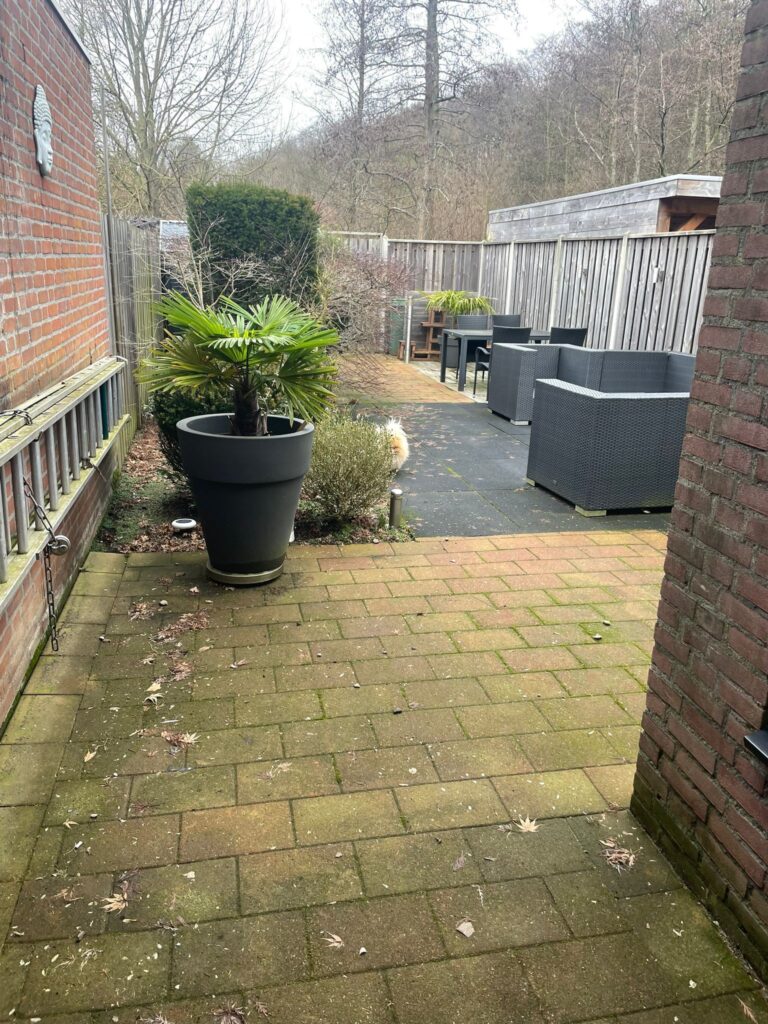 Bomen verwijderen